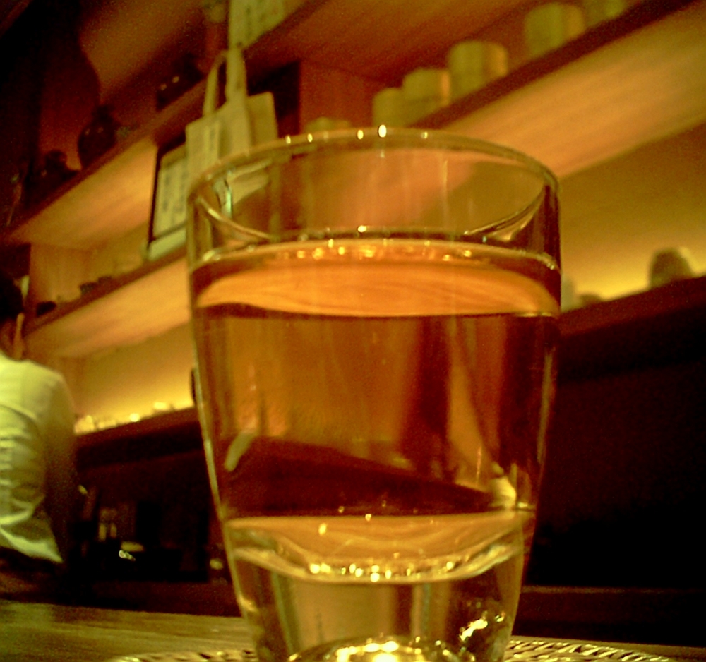 f:id:toya:20100815205224j:image:w200