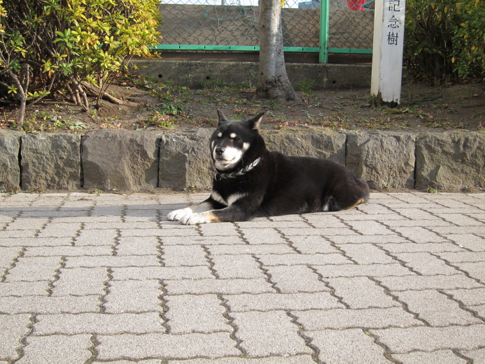 f:id:toya:20120114144641j:image:w450