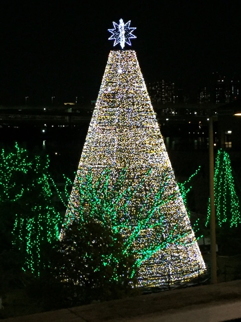 f:id:toya:20141223222437j:image:w500