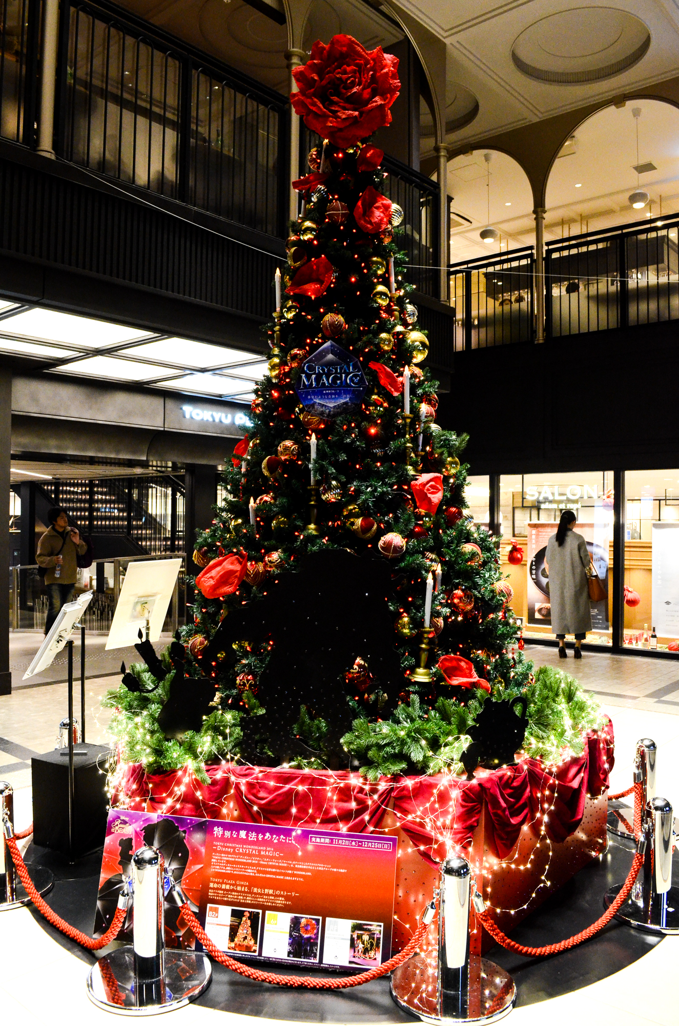 f:id:toya:20161204221056j:image:w500