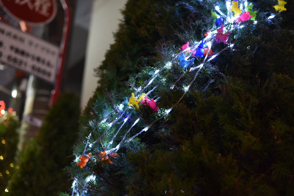 f:id:toya:20181229232352j:plain f:id:toya:20181229232352j:plain