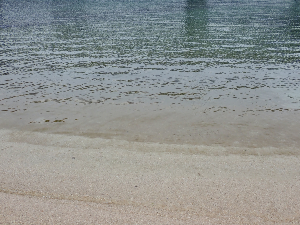f:id:toya:20190629221633j:plain f:id:toya:20190629221633j:plain