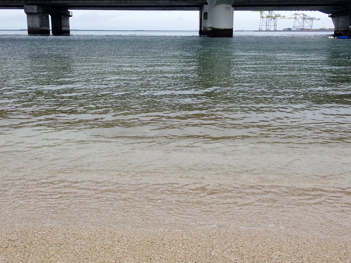 f:id:toya:20190629221644j:plain f:id:toya:20190629221644j:plain