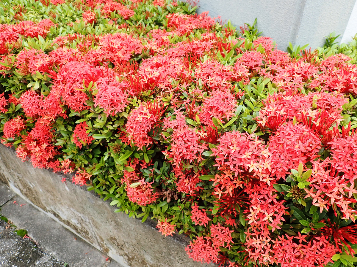 f:id:toya:20190629221734j:plain f:id:toya:20190629221734j:plain