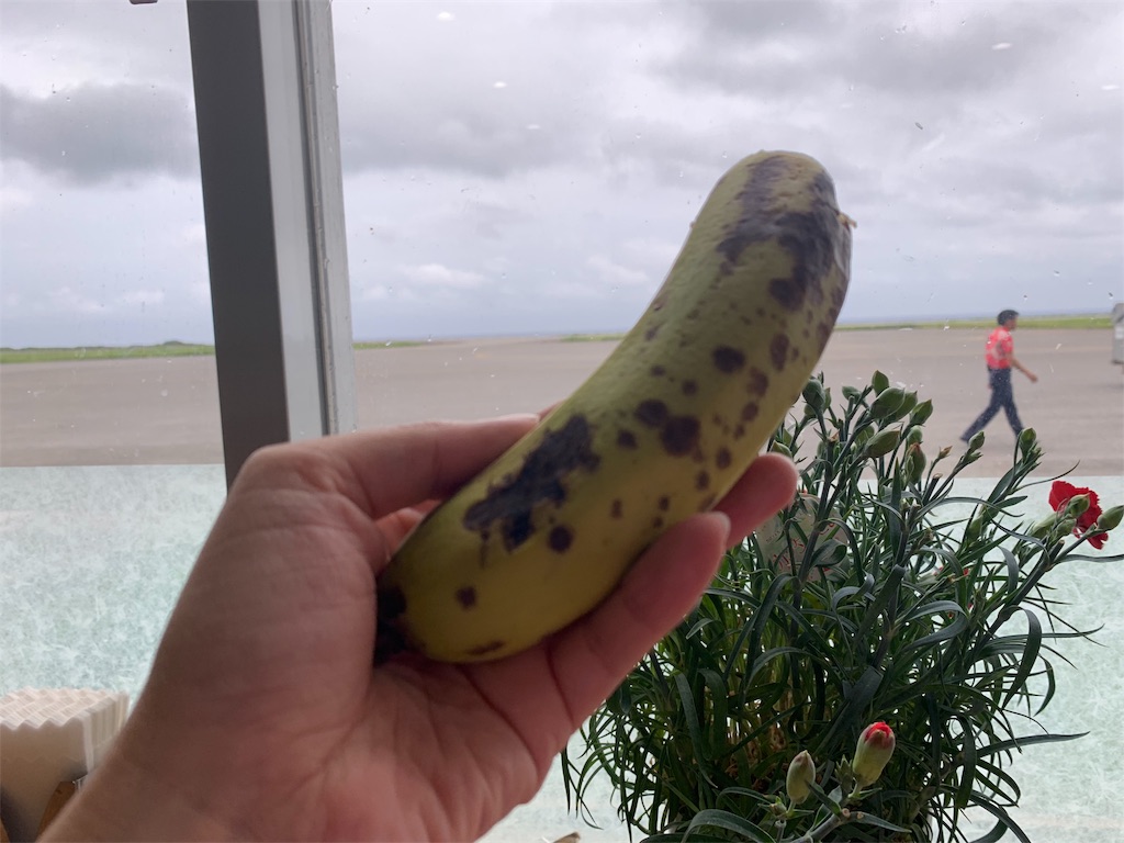 f:id:toya:20190629234411j:plain f:id:toya:20190629234411j:plain