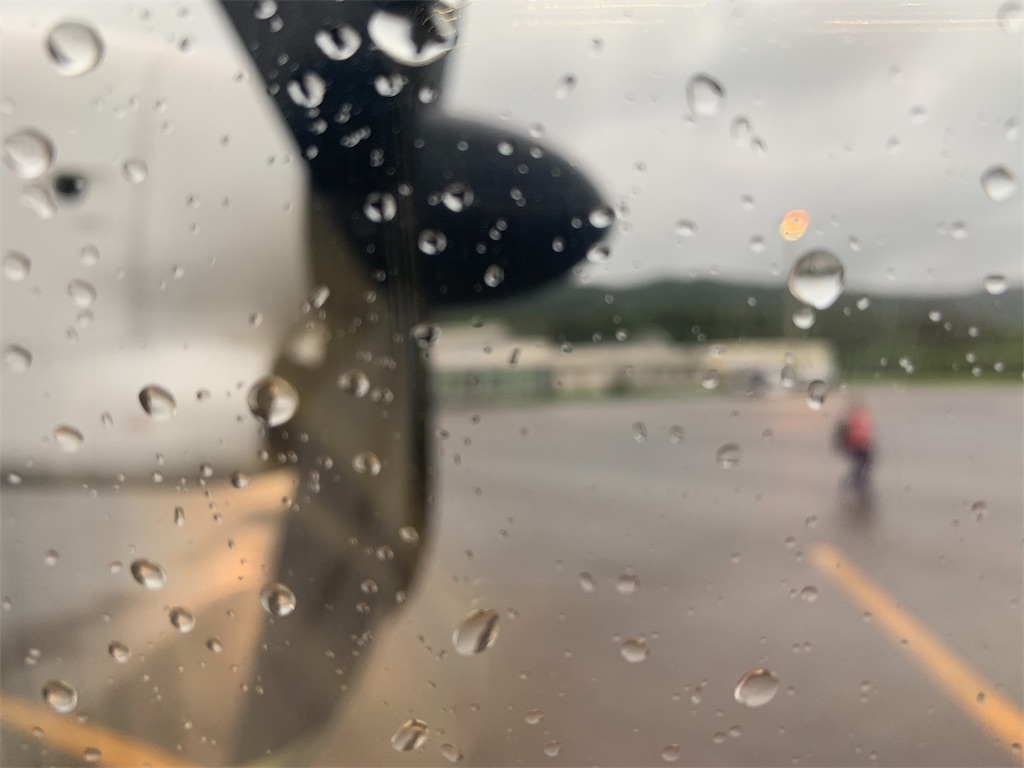 f:id:toya:20190629234415j:plain f:id:toya:20190629234415j:plain