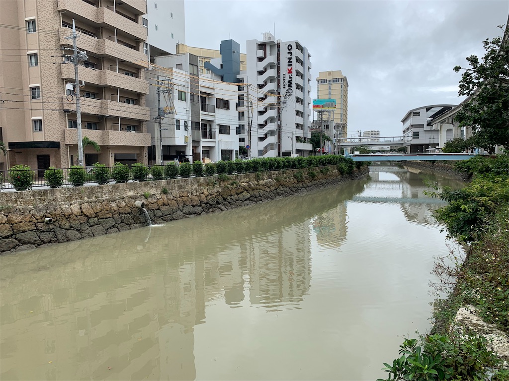 f:id:toya:20190630200148j:plain f:id:toya:20190630200148j:plain