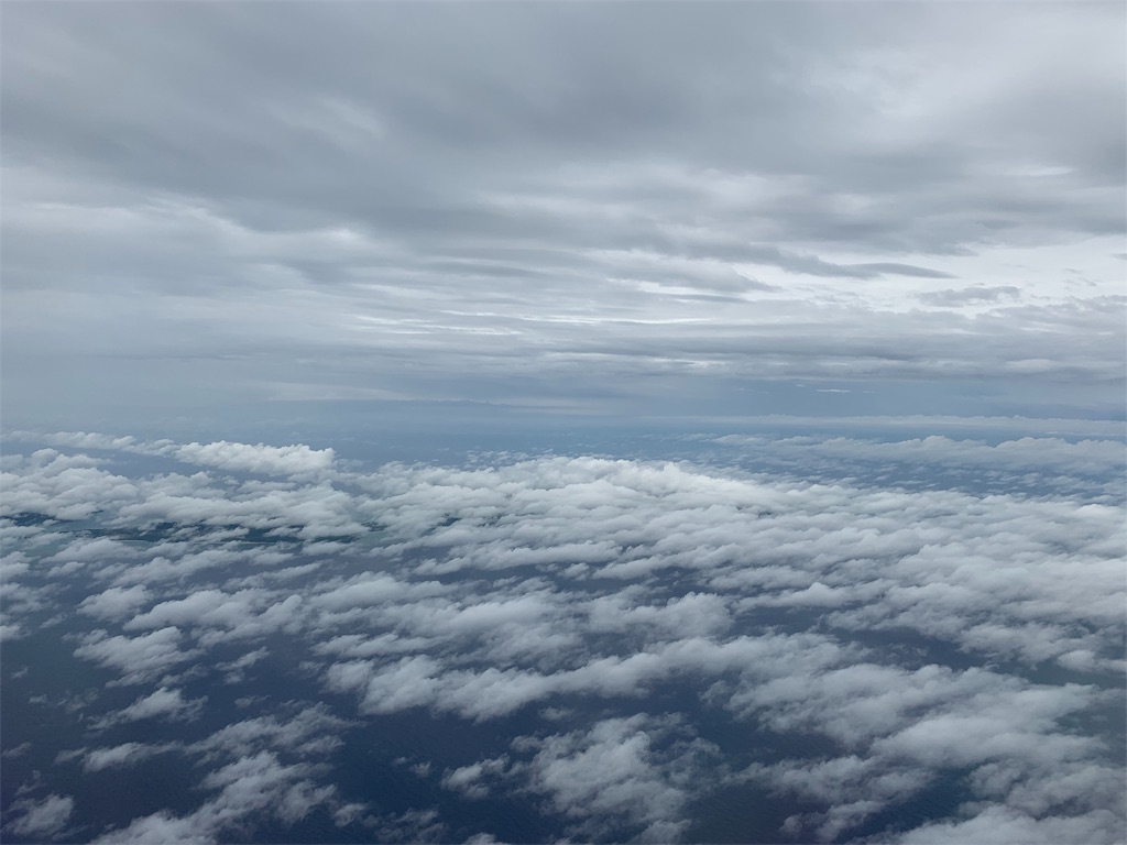 f:id:toya:20190630200214j:image f:id:toya:20190630200214j:image