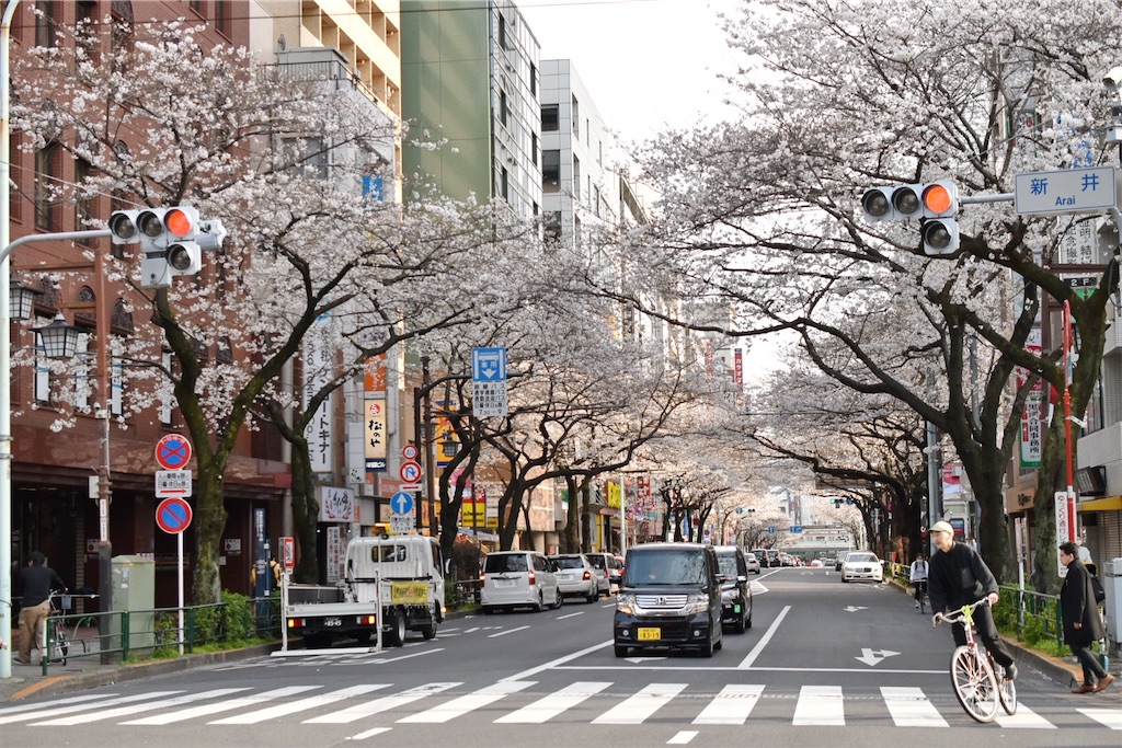 f:id:toya:20200322231222j:image