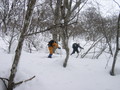 [山スキー][五箇山方面] 2008年2月9日猿が山