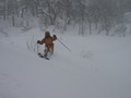 [山スキー][五箇山方面] 2008年2月9日 猿が山