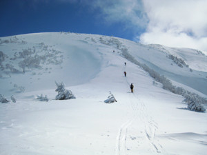 f:id:toyama-rouzan:20090318193531j:image