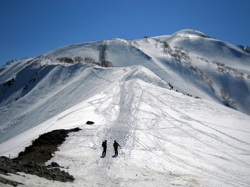 f:id:toyama-rouzan:20090412010713j:image:w300