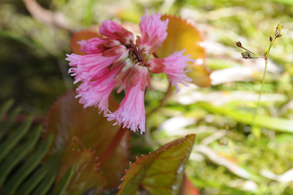 f:id:toyama-rouzan:20090510085009j:image:w300 f:id:toyama-rouzan:20090510085009j:image:w300
