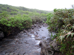 f:id:toyama-rouzan:20090801205428j:image f:id:toyama-rouzan:20090801205428j:image
