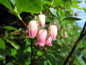 f:id:toyama-rouzan:20090801205607j:image f:id:toyama-rouzan:20090801205607j:image