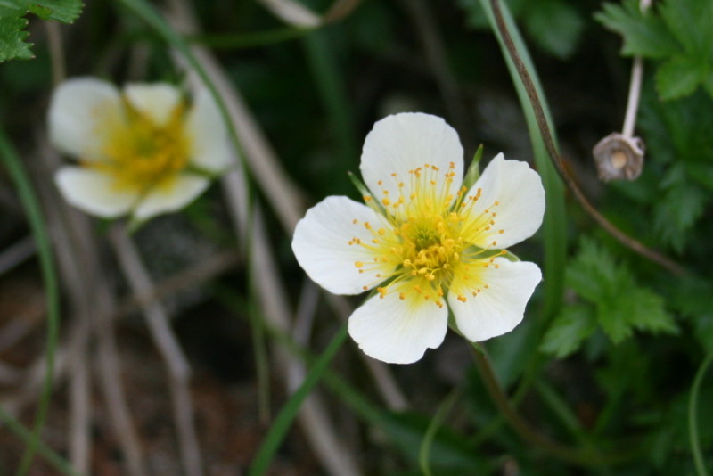 f:id:toyama-rouzan:20090818203343j:image:w200 f:id:toyama-rouzan:20090818203343j:image:w200