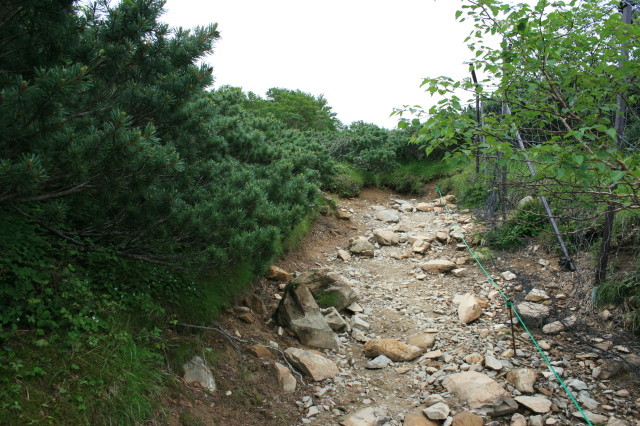 f:id:toyama-rouzan:20090818203357j:image:w200
