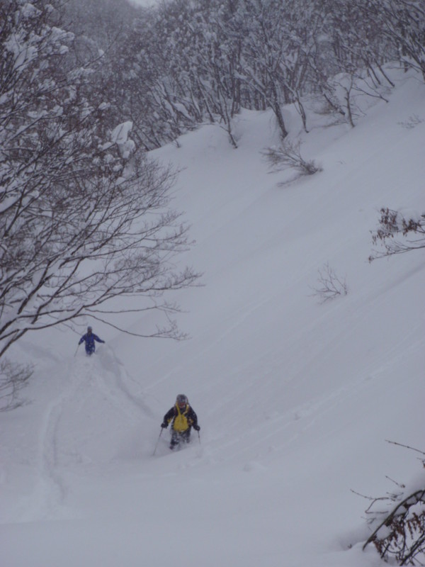 f:id:toyama-rouzan:20120131043201j:image:w300