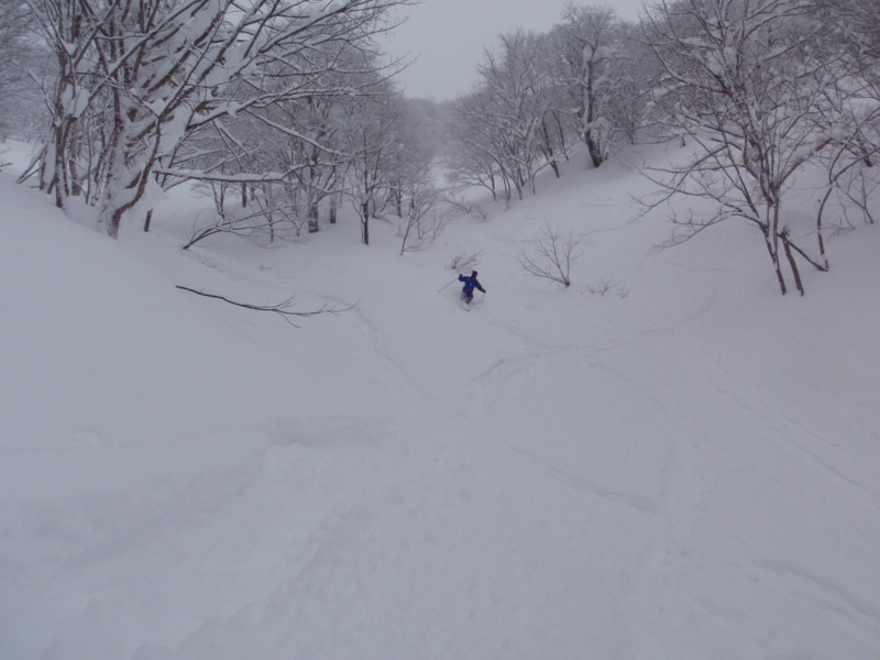 f:id:toyama-rouzan:20120131043210j:image:w300