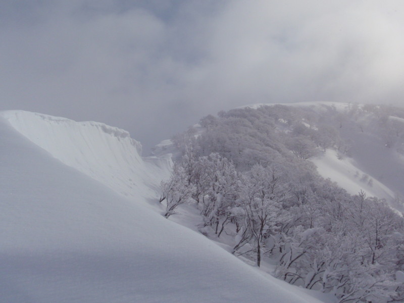 f:id:toyama-rouzan:20120131043218j:image:w300 f:id:toyama-rouzan:20120131043218j:image:w300