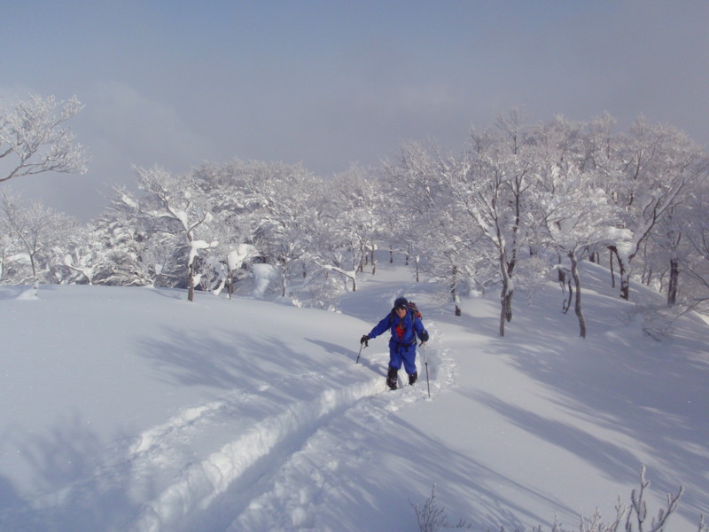 f:id:toyama-rouzan:20120131043638j:image:w300