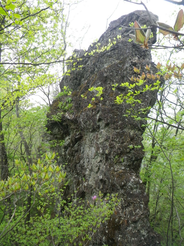 f:id:toyama-rouzan:20130516220916j:image:w250