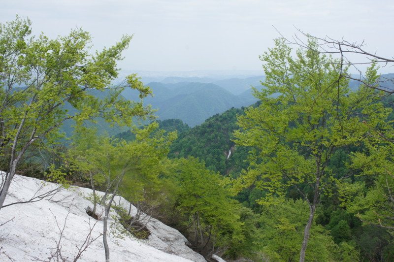 f:id:toyama-rouzan:20150521141819j:image:w300