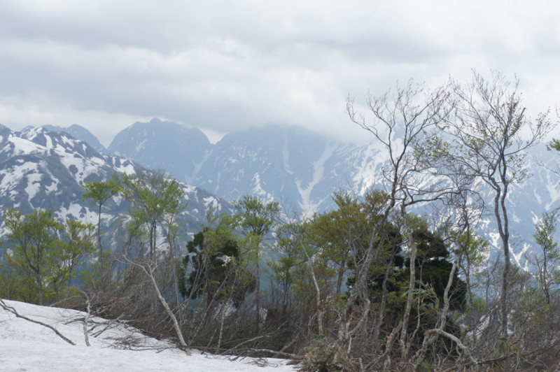 f:id:toyama-rouzan:20150521142117j:image:w300