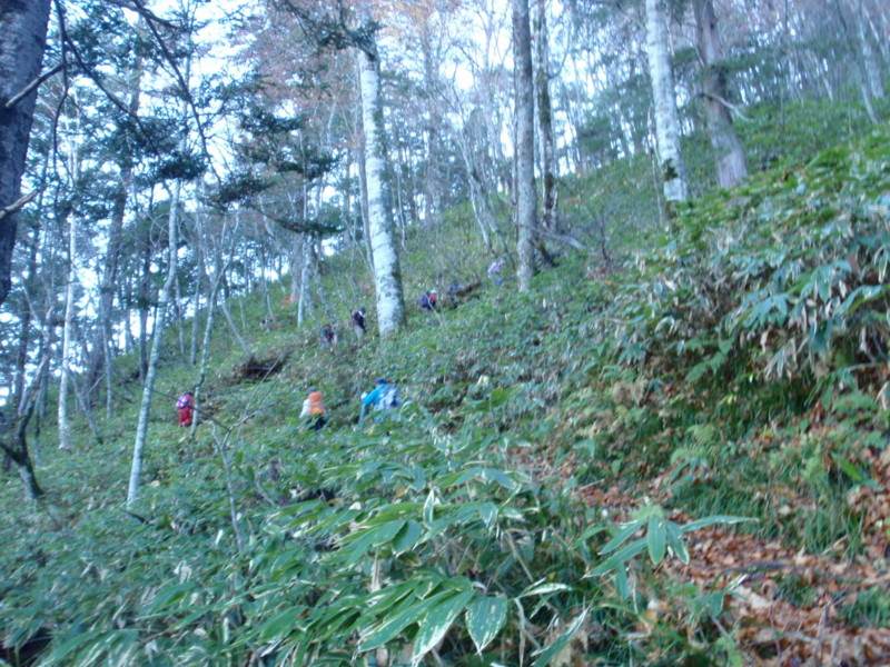 f:id:toyama-rouzan:20151026204536j:image:w300