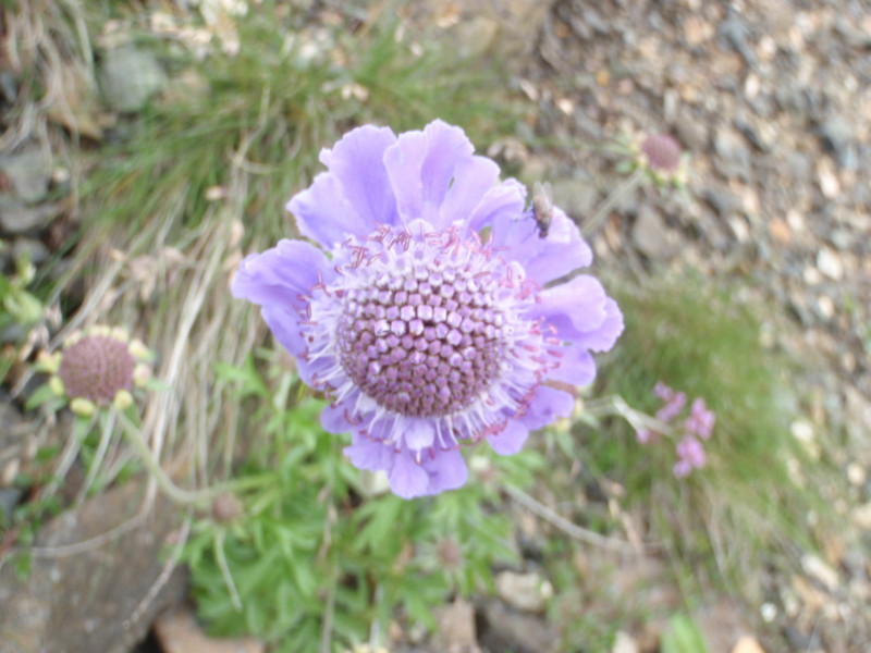 f:id:toyama-rouzan:20170814091840j:image:w400 f:id:toyama-rouzan:20170814091840j:image:w400