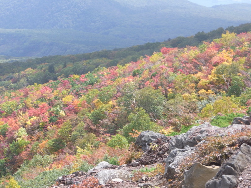 f:id:toyama-rouzan:20171006095837j:image:w360 f:id:toyama-rouzan:20171006095837j:image:w360