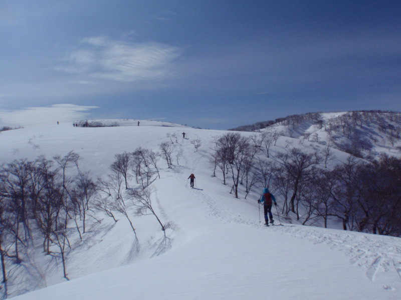 f:id:toyama-rouzan:20180318095903j:image:w400