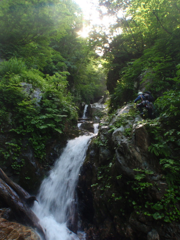 f:id:toyama-rouzan:20180701083715j:image:w300