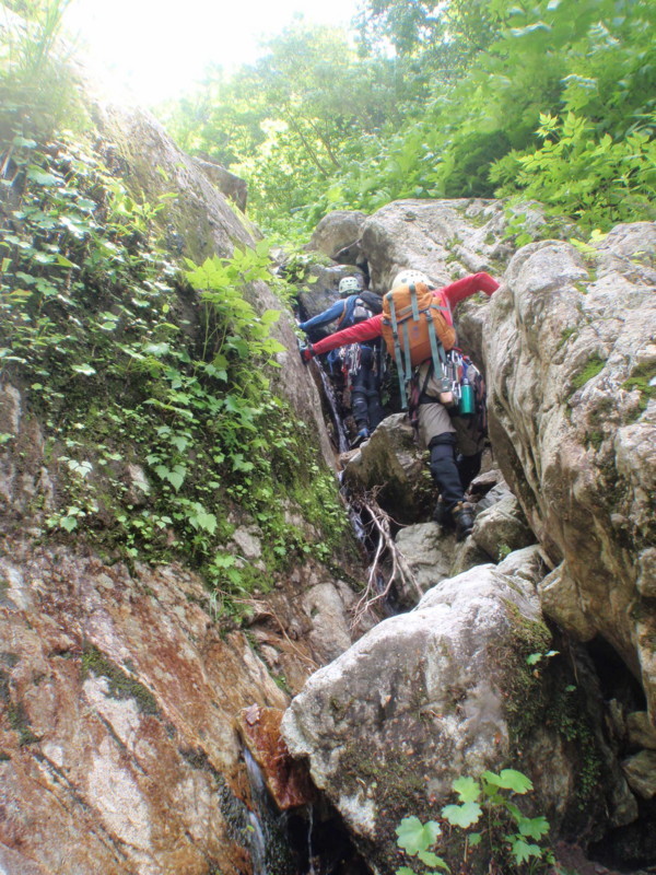 f:id:toyama-rouzan:20180701114342j:image:w300 f:id:toyama-rouzan:20180701114342j:image:w300