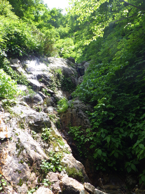 f:id:toyama-rouzan:20180701114707j:image:w300