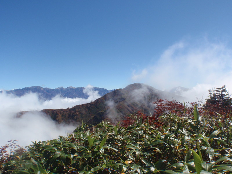 f:id:toyama-rouzan:20181008112656j:image:w400 f:id:toyama-rouzan:20181008112656j:image:w400