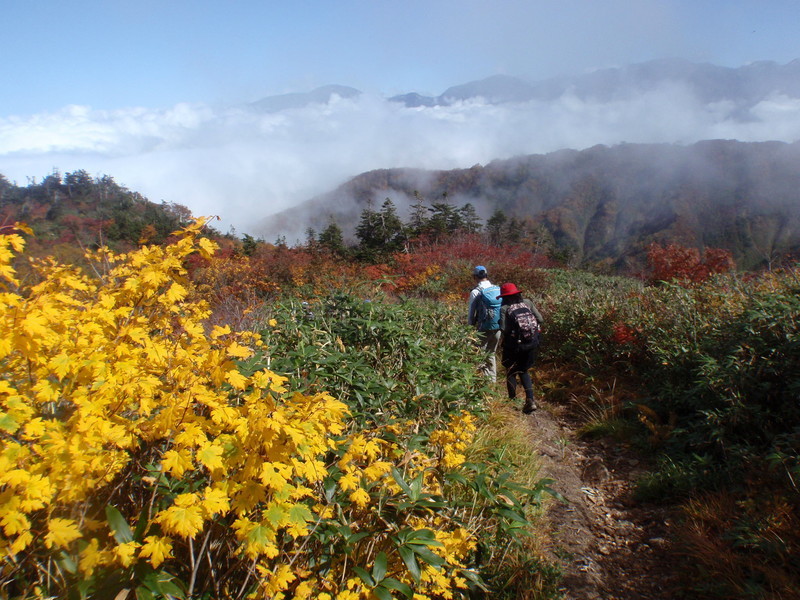f:id:toyama-rouzan:20181008114913j:image:w400 f:id:toyama-rouzan:20181008114913j:image:w400