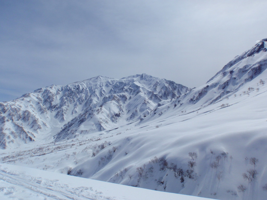 f:id:toyama-rouzan:20190310112458j:plain f:id:toyama-rouzan:20190310112458j:plain