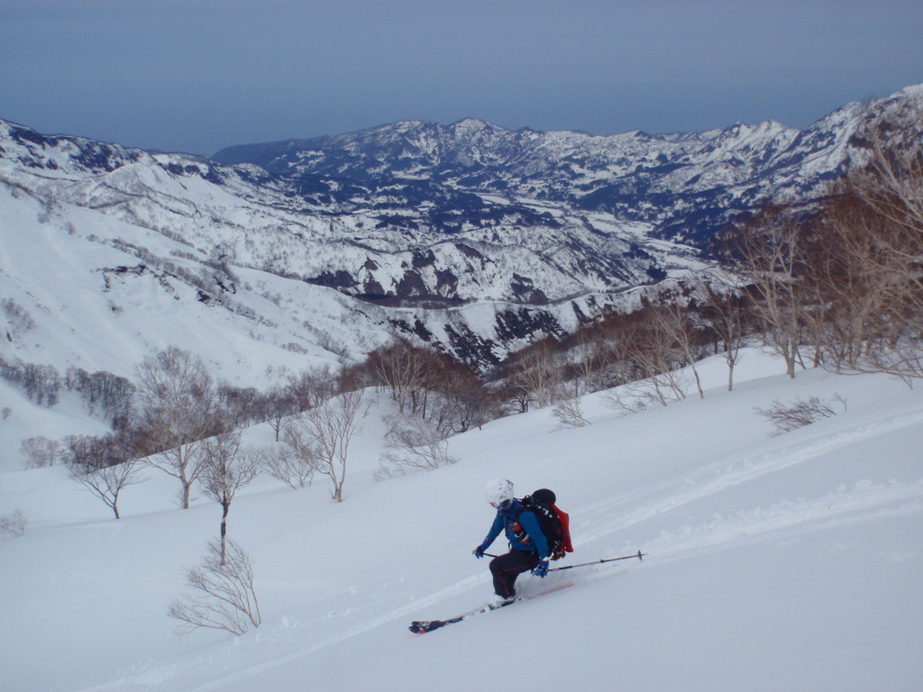 f:id:toyama-rouzan:20190310130839j:plain f:id:toyama-rouzan:20190310130839j:plain