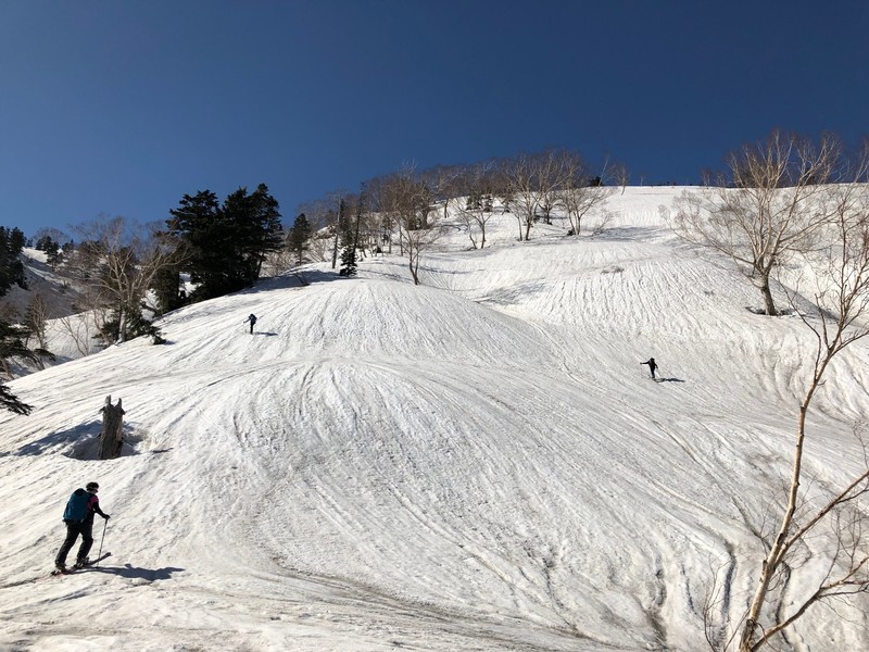 f:id:toyama-rouzan:20190504081504j:plain f:id:toyama-rouzan:20190504081504j:plain