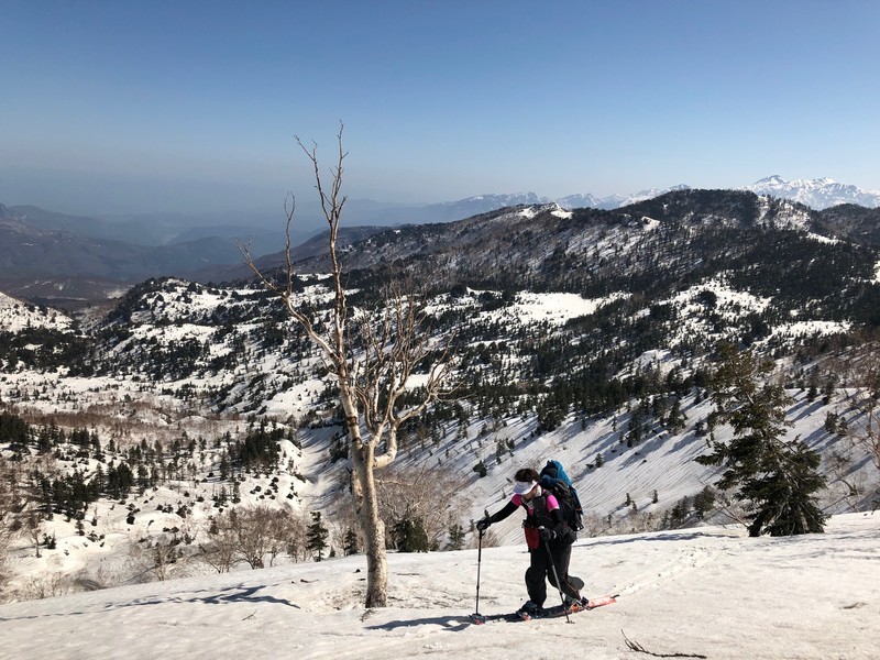 f:id:toyama-rouzan:20190504084728j:plain f:id:toyama-rouzan:20190504084728j:plain