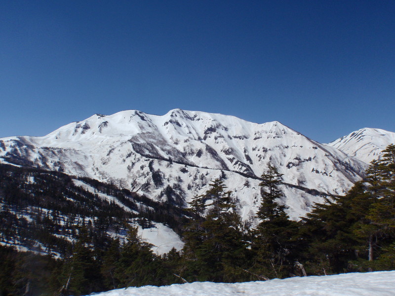 f:id:toyama-rouzan:20190504091929j:plain f:id:toyama-rouzan:20190504091929j:plain