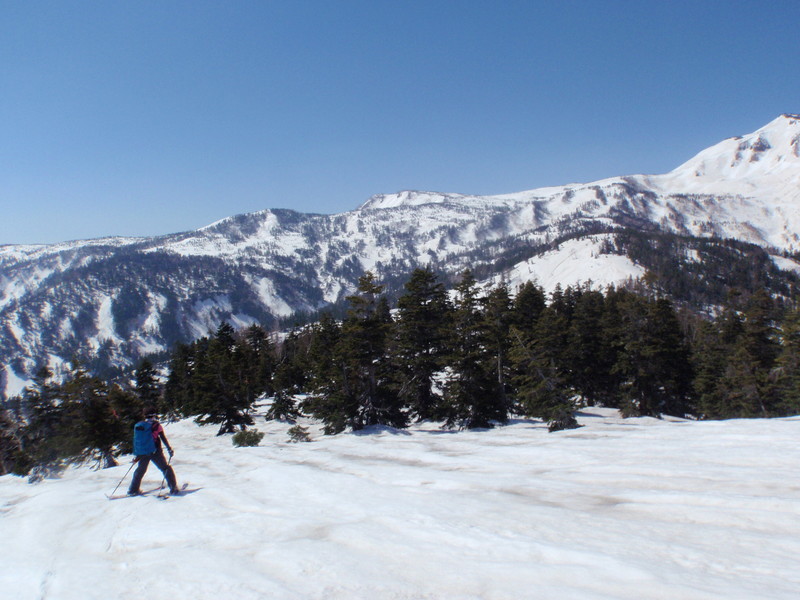 f:id:toyama-rouzan:20190504092128j:plain f:id:toyama-rouzan:20190504092128j:plain