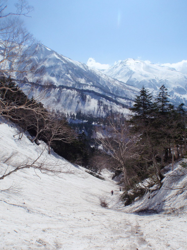f:id:toyama-rouzan:20190504145446j:plain f:id:toyama-rouzan:20190504145446j:plain