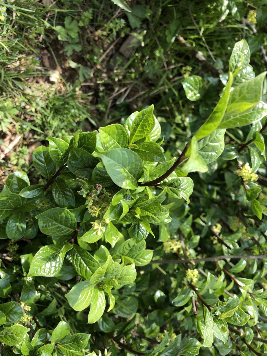 f:id:toyama-rouzan:20190512094813j:plain f:id:toyama-rouzan:20190512094813j:plain