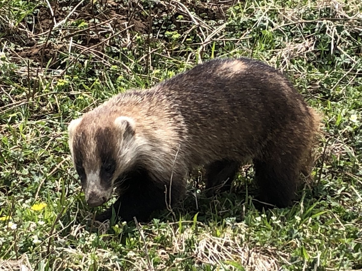 f:id:toyama-rouzan:20190512105340j:plain f:id:toyama-rouzan:20190512105340j:plain