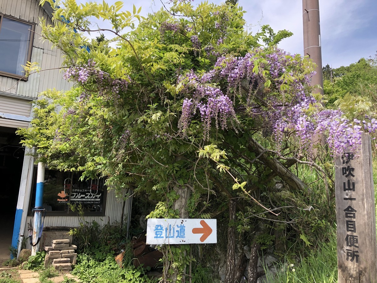 f:id:toyama-rouzan:20190512140811j:plain f:id:toyama-rouzan:20190512140811j:plain