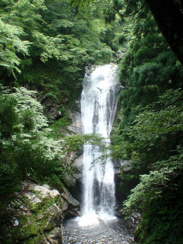 f:id:toyama-rouzan:20190728111826j:plain f:id:toyama-rouzan:20190728111826j:plain
