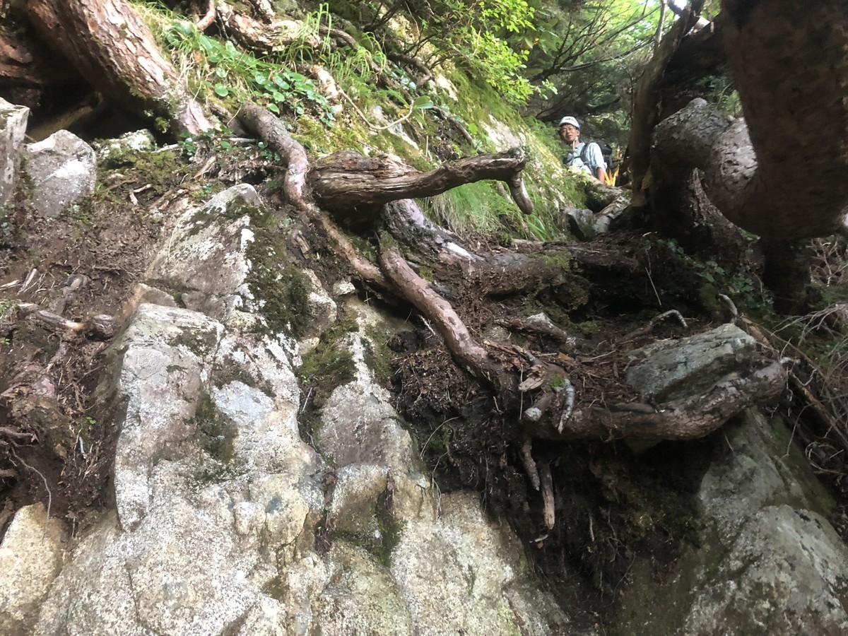 f:id:toyama-rouzan:20190908054124j:plain f:id:toyama-rouzan:20190908054124j:plain